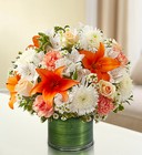 Cherished Memories<br>Peach, Orange and White Davis Floral Clayton Indiana from Davis Floral